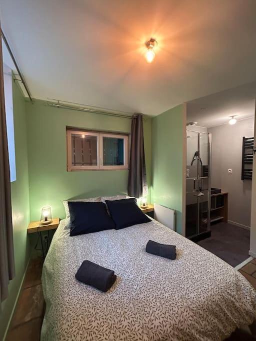 Le Cosy Balat Biel Rdc Jardin Spacieux Grisolles  Eksteriør bilde