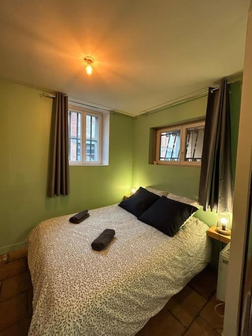 Le Cosy Balat Biel Rdc Jardin Spacieux Grisolles  Eksteriør bilde